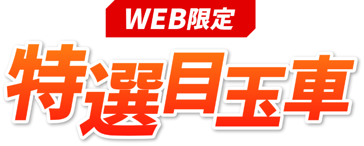 WEB限定特選目玉車